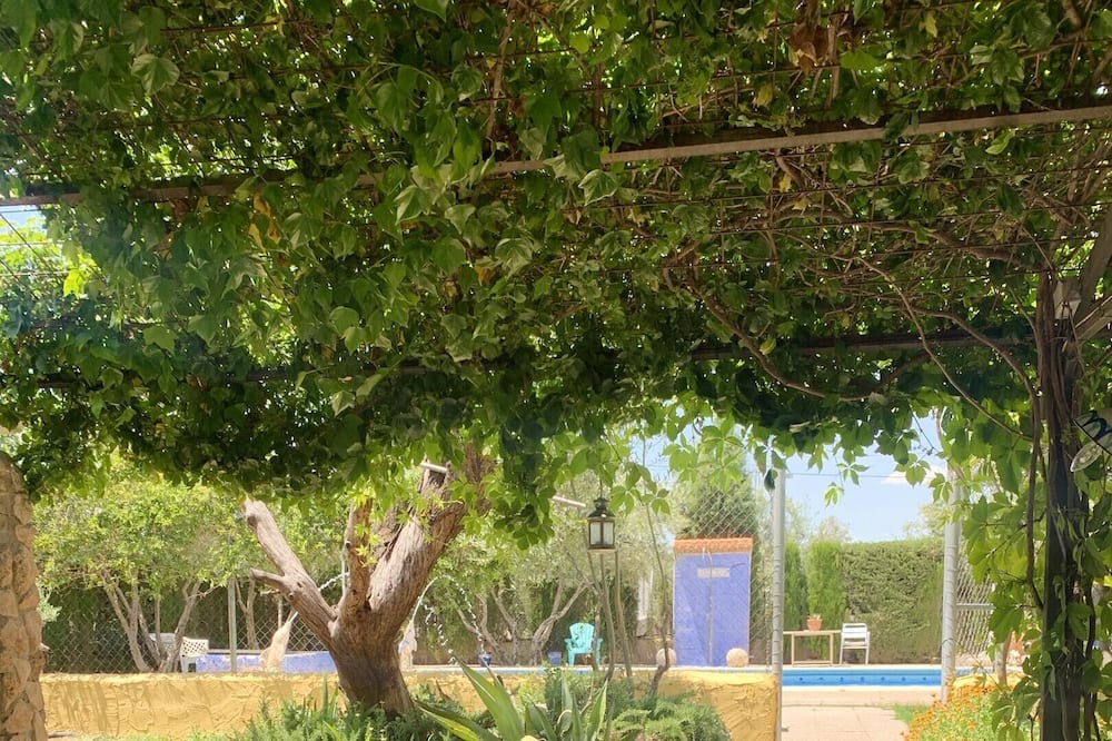 Photo of Outdoor in Baza