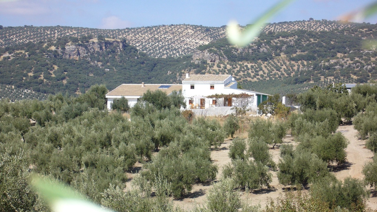 Photo of Outdoor in Montefrio