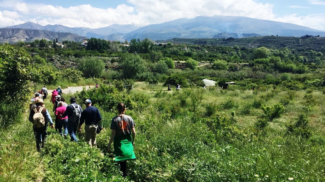 Photo of Outdoor in Melegis