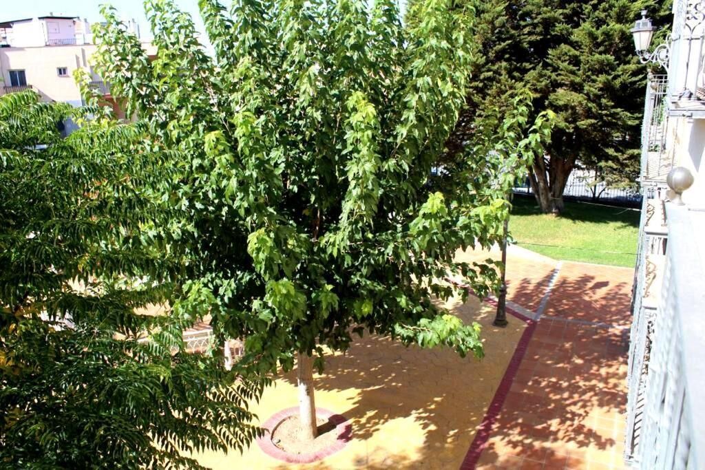 Photo of Outdoor in La Zubia