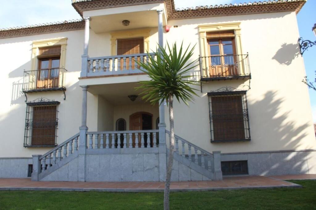 Photo of Outdoor in La Zubia