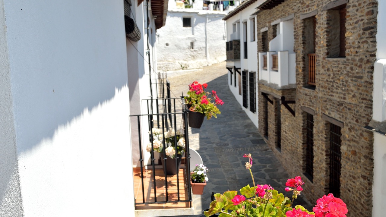 Photo of Others in Capileira