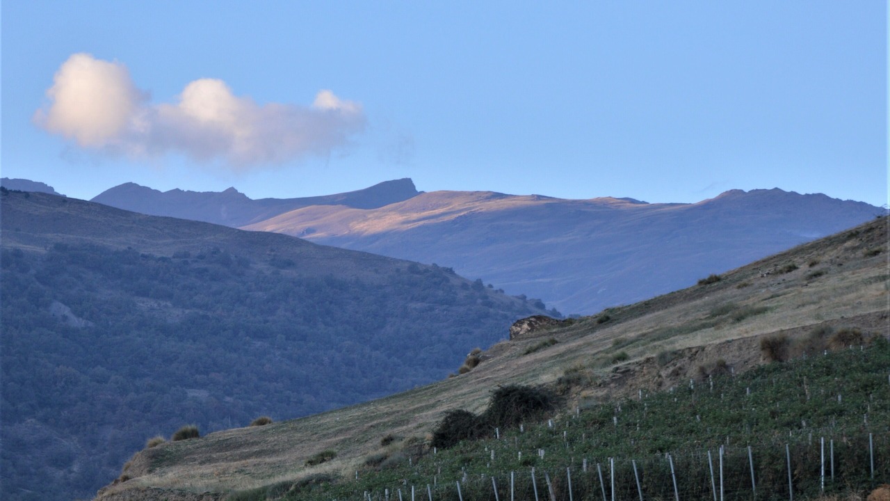 Photo of Outdoor in Capileira