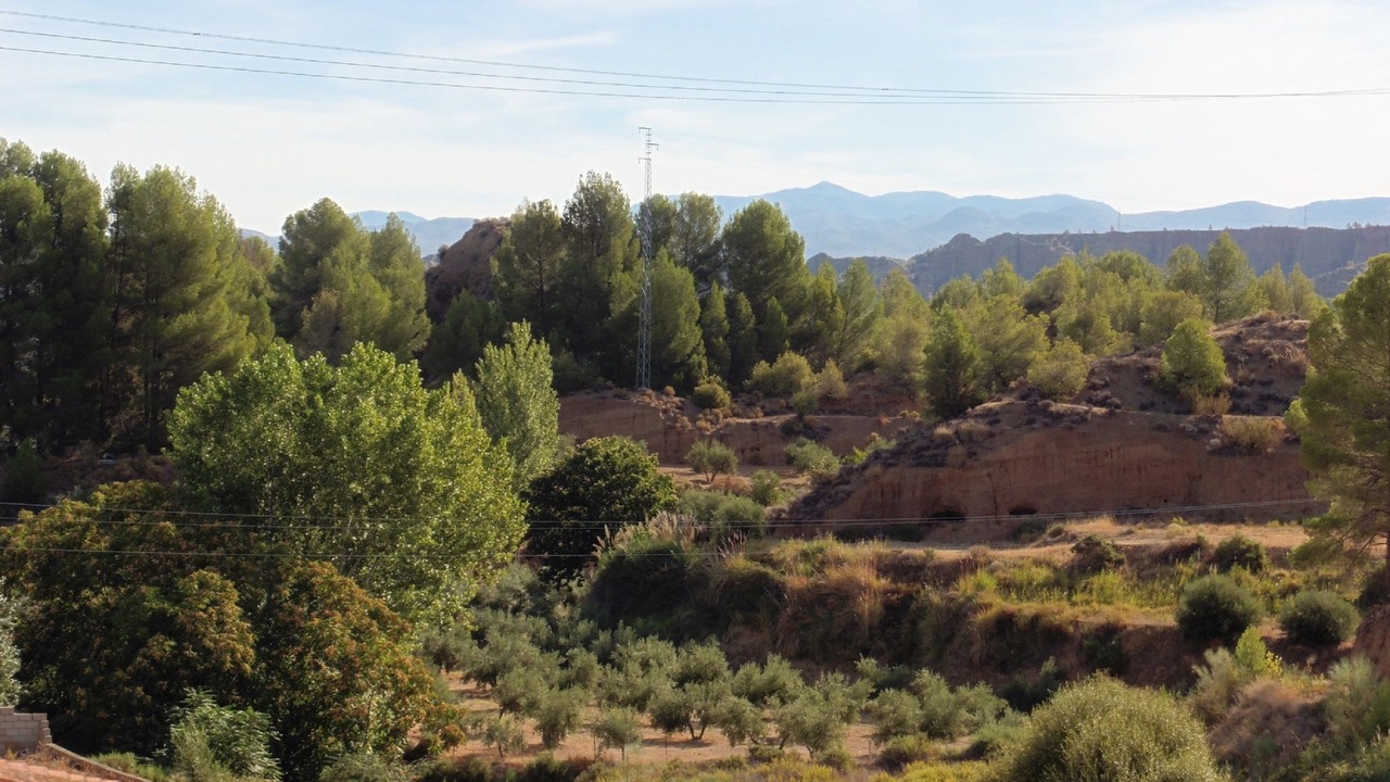Photo of Outdoor in Los Banos