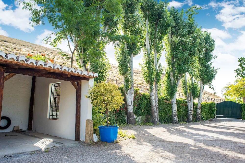 Photo of Outdoor in Padul