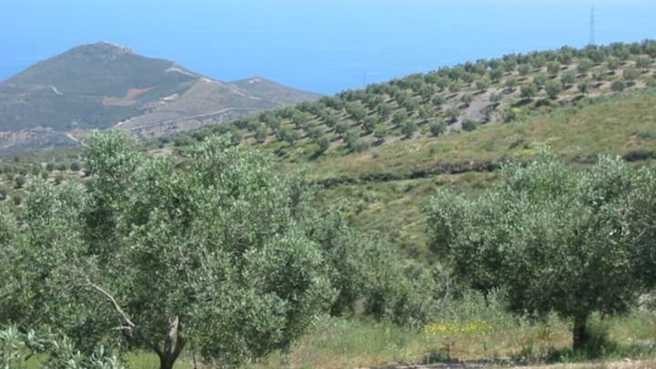 Photo of Outdoor in Gualchos