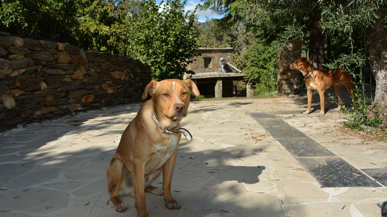Photo of Outdoor in Busquistar