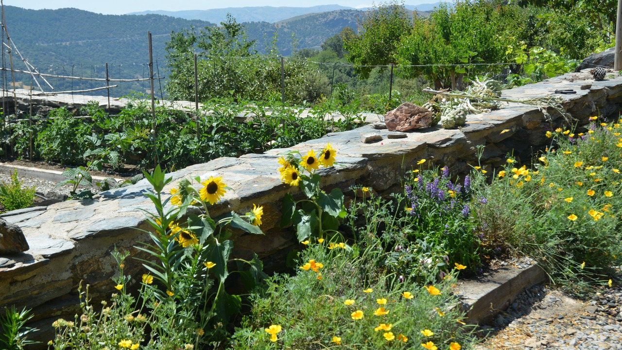 Photo of Outdoor in Busquistar