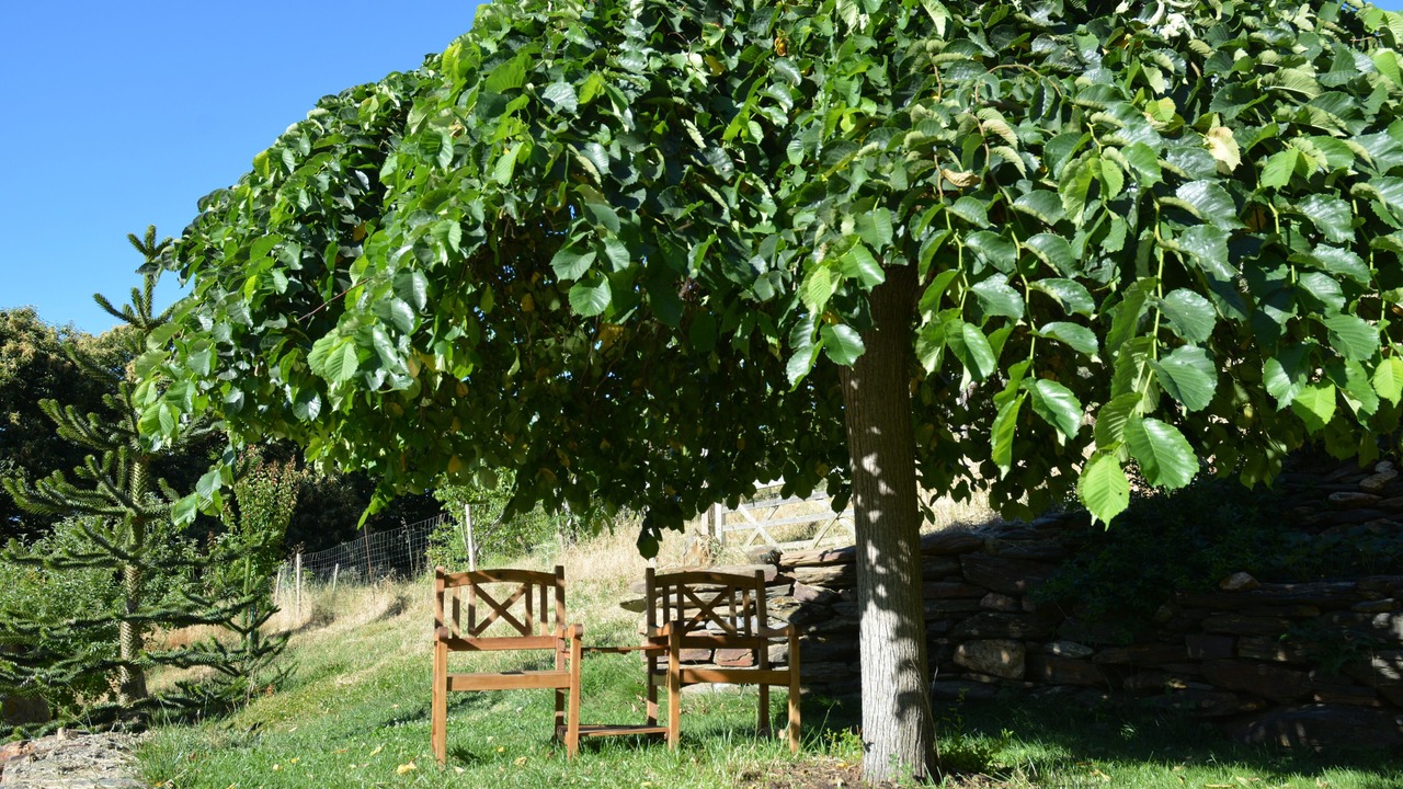 Photo of Outdoor in Busquistar