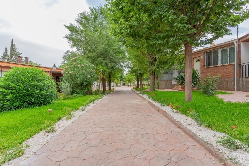Photo of Outdoor in Padul