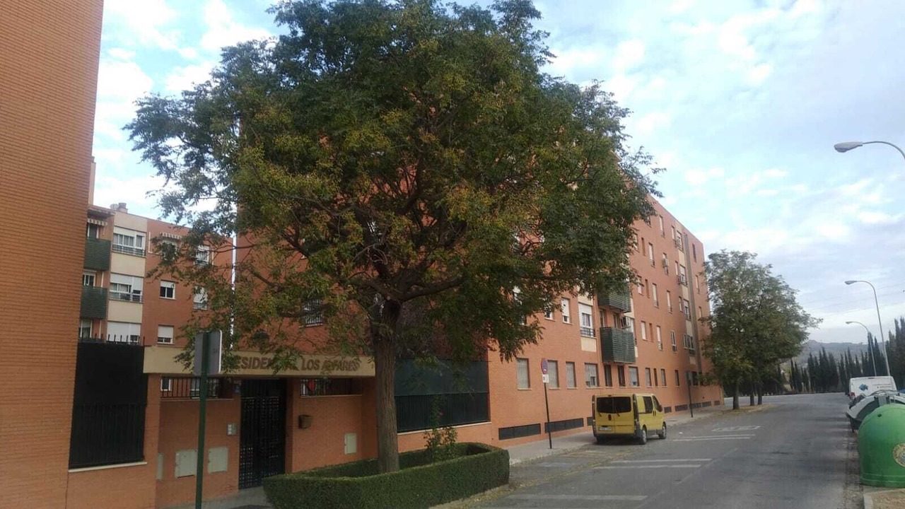 Photo of Outdoor in Norte