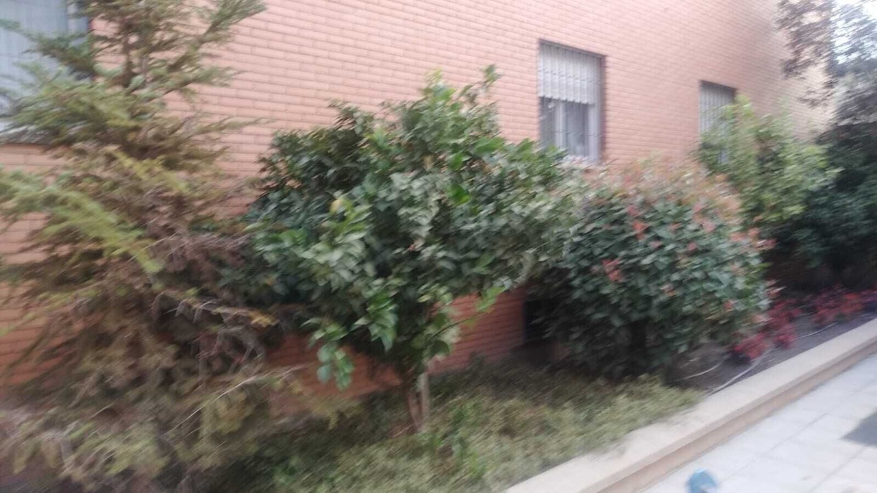 Photo of Outdoor in Norte