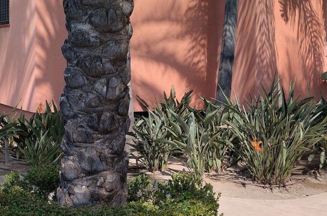 Photo of Outdoor in Motril