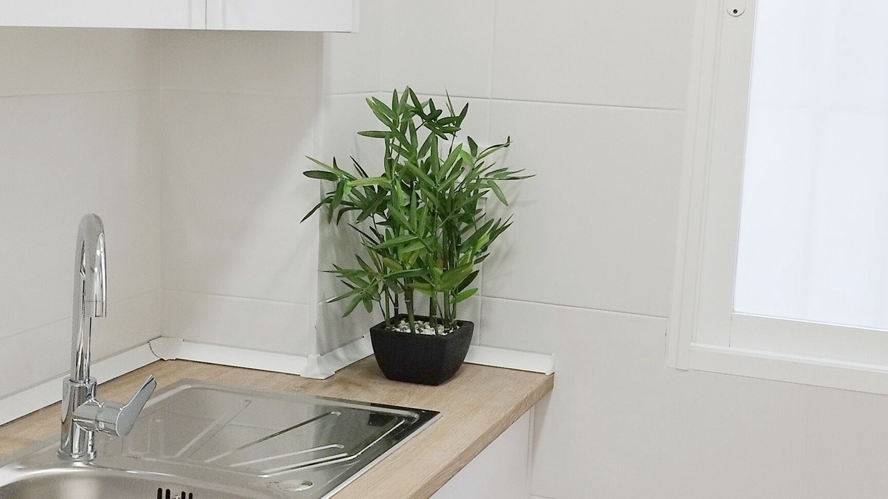 Photo of Kitchen in Albaicin