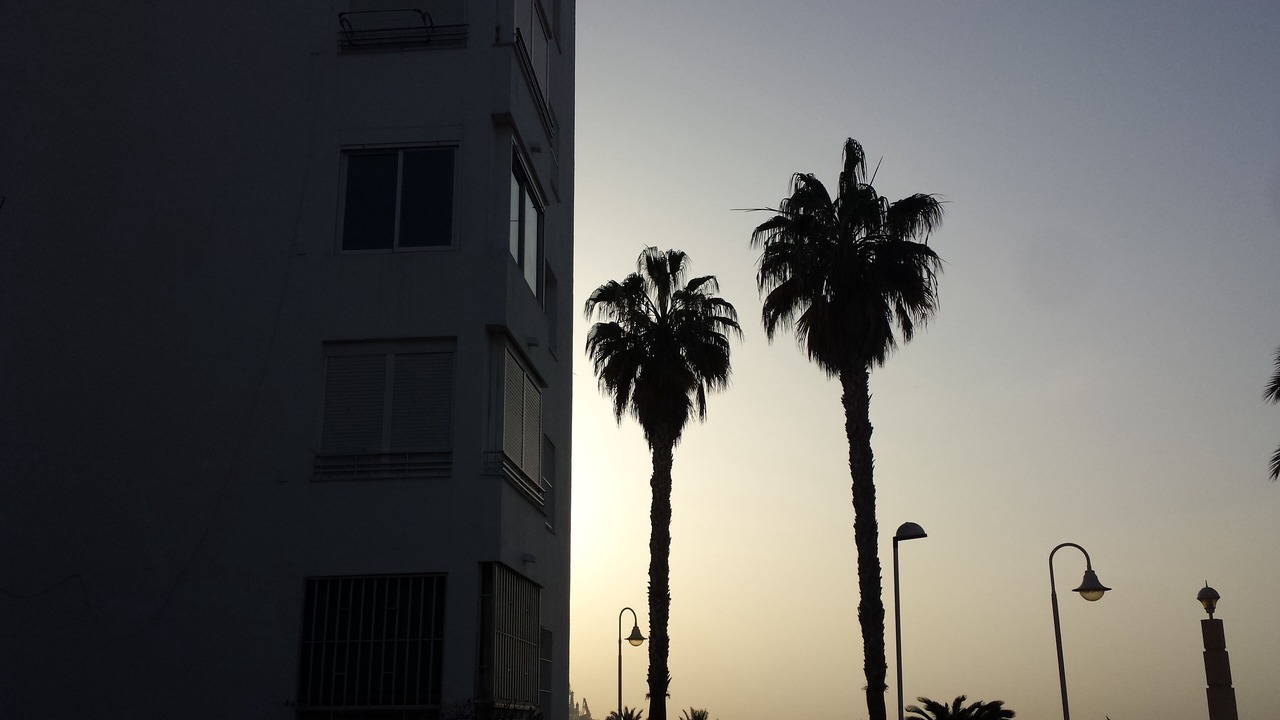 Photo of Outdoor in Playa Granada