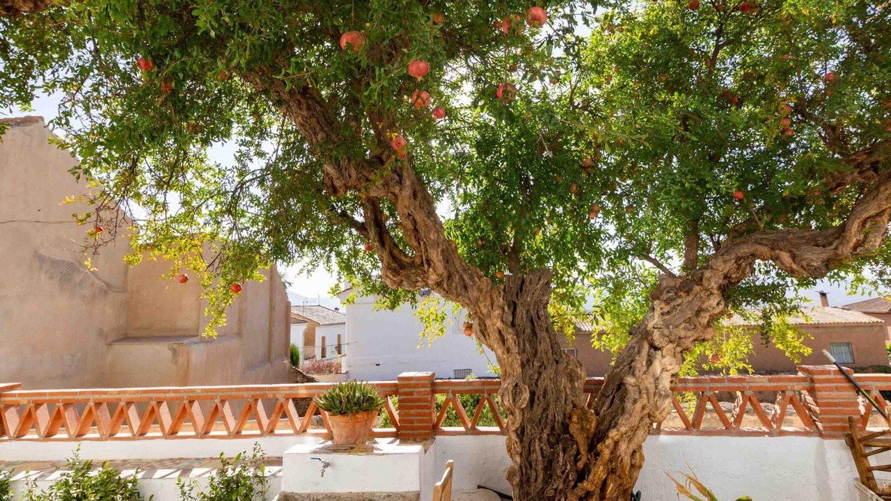 Photo of Outdoor in Niguelas