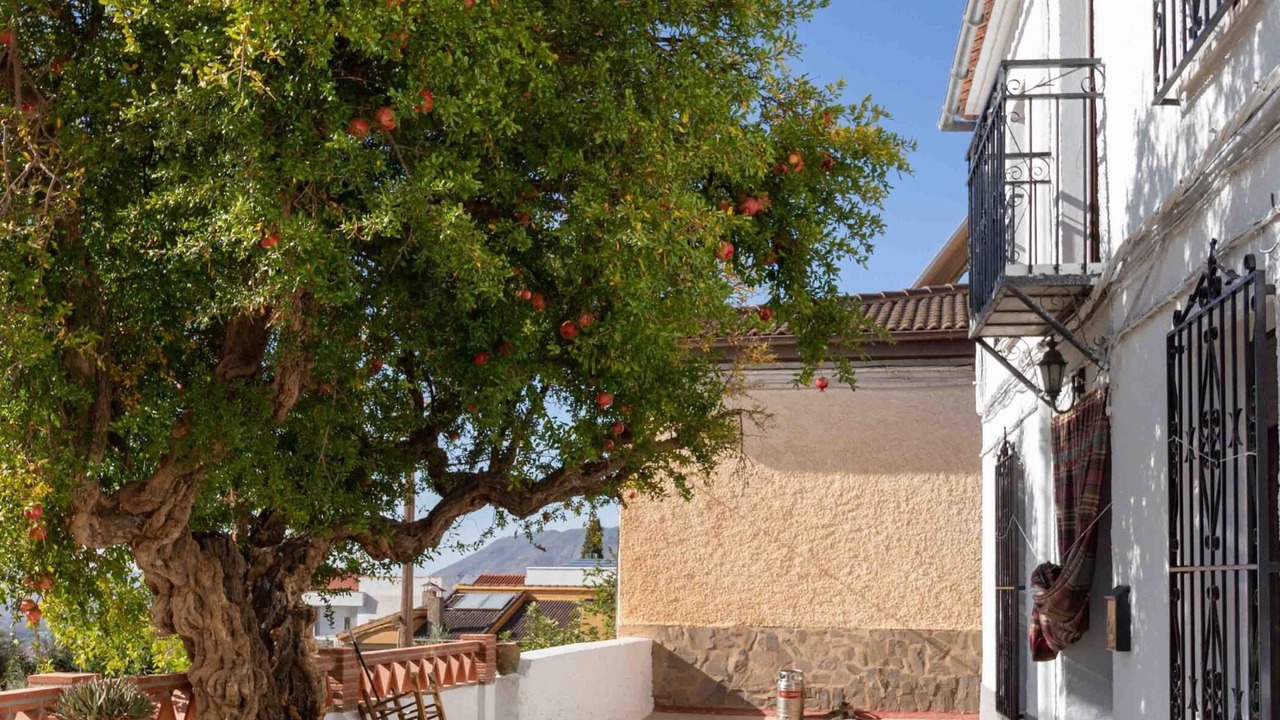 Photo of Patio Balcony in Niguelas