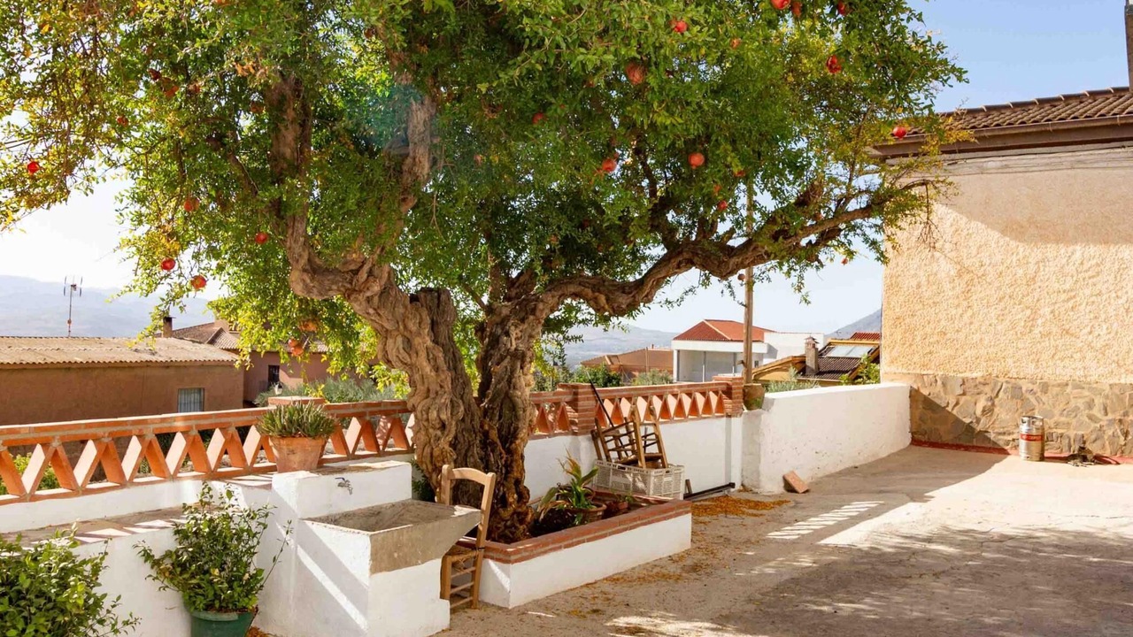 Photo of Patio Balcony in Niguelas