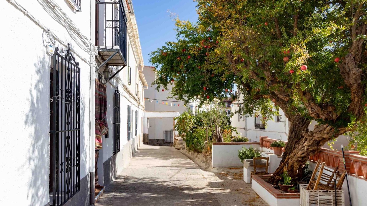 Photo of Outdoor in Niguelas