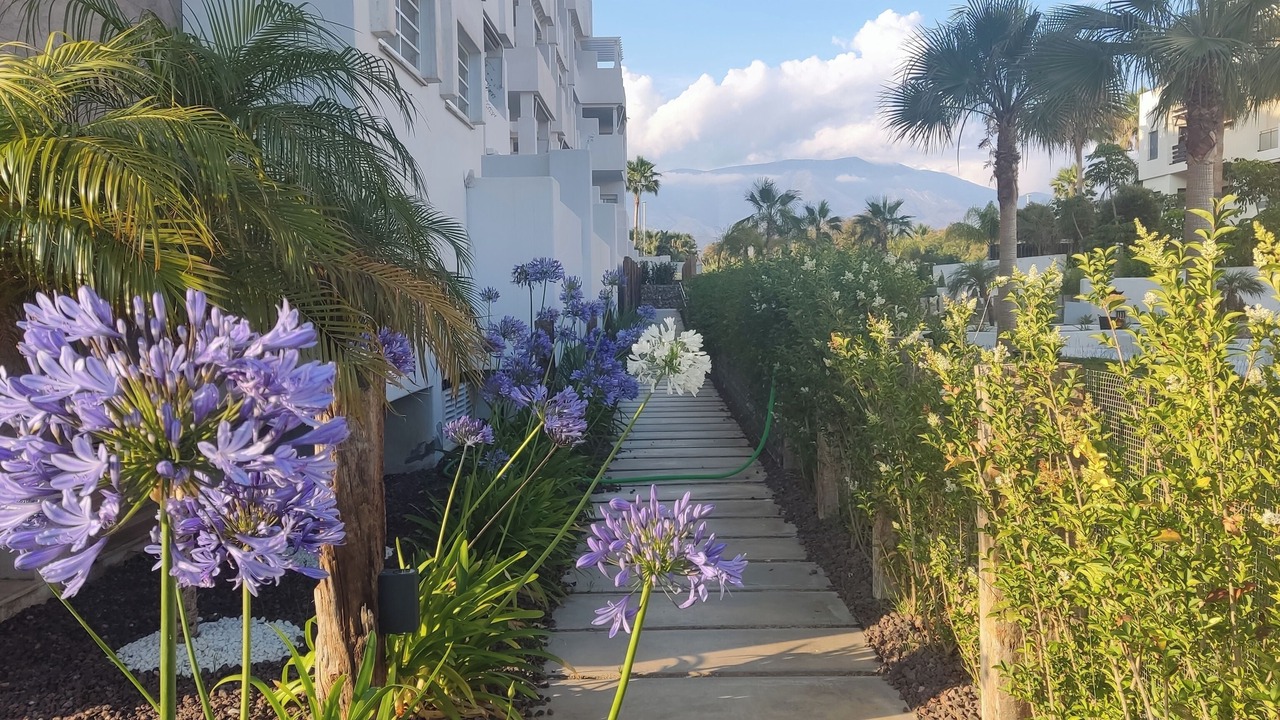 Photo of Outdoor in Motril