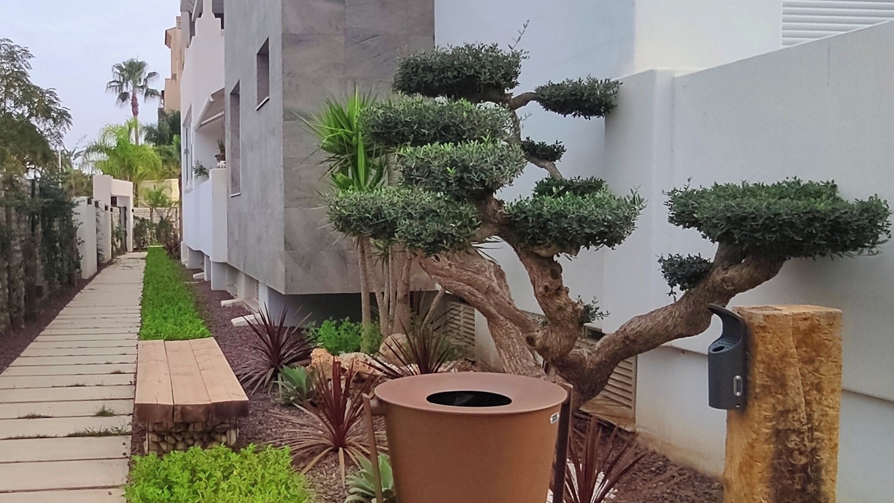 Photo of Outdoor in Motril