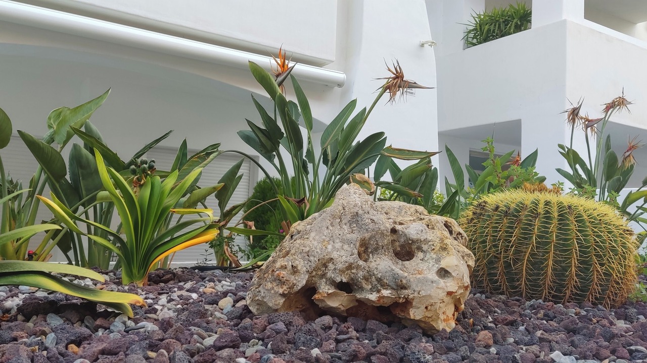 Photo of Outdoor in Motril