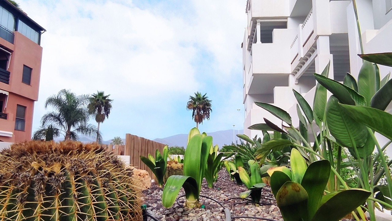 Photo of Outdoor in Motril