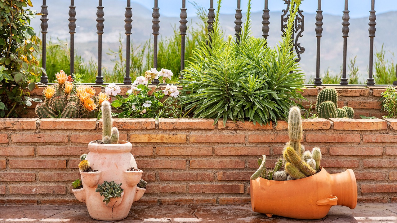 Photo of Outdoor in Montefrio