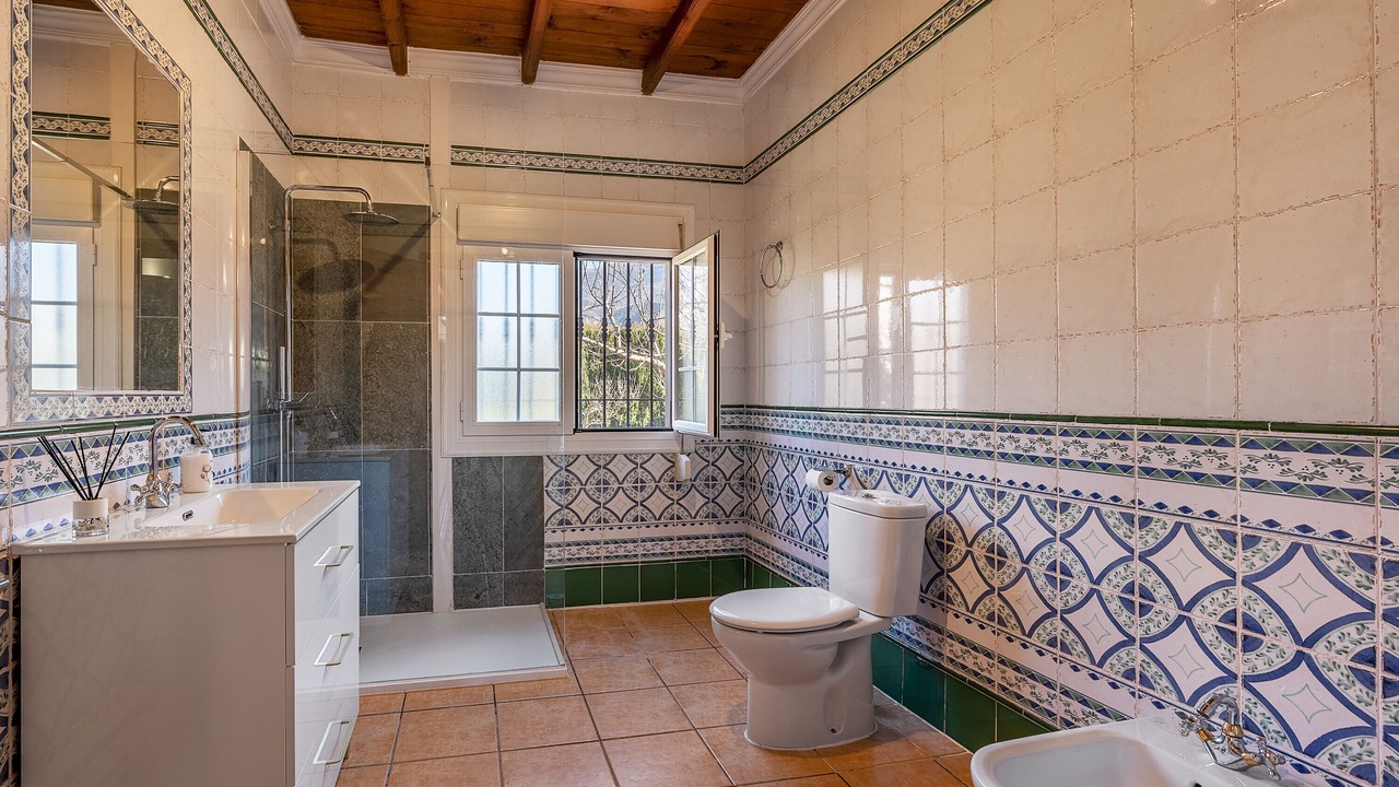 Photo of Bathroom in Niguelas