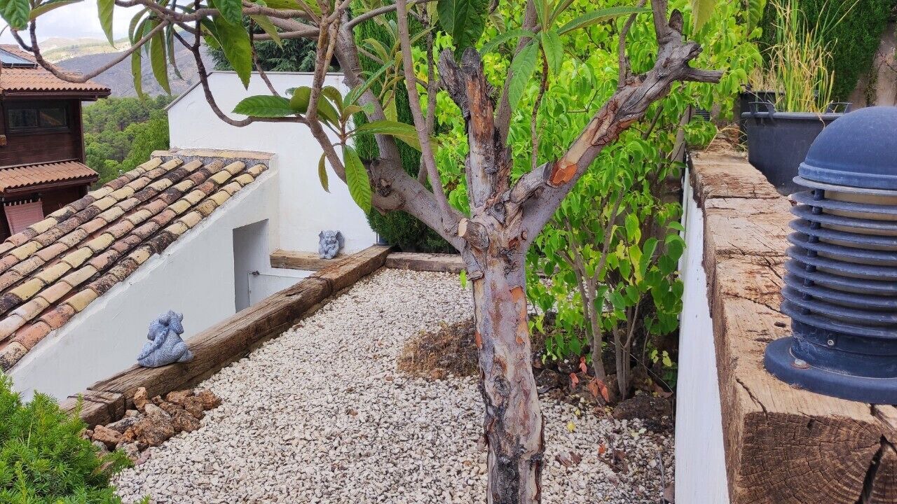 Photo of Outdoor in La Zubia