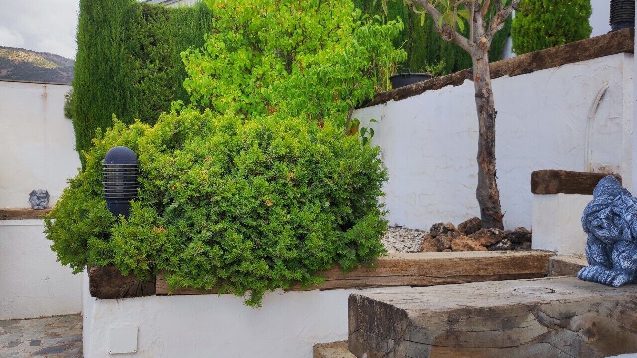Photo of Outdoor in La Zubia