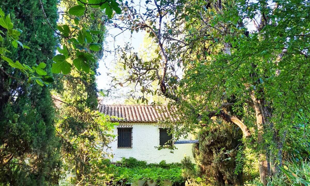 Photo of Outdoor in Nivar