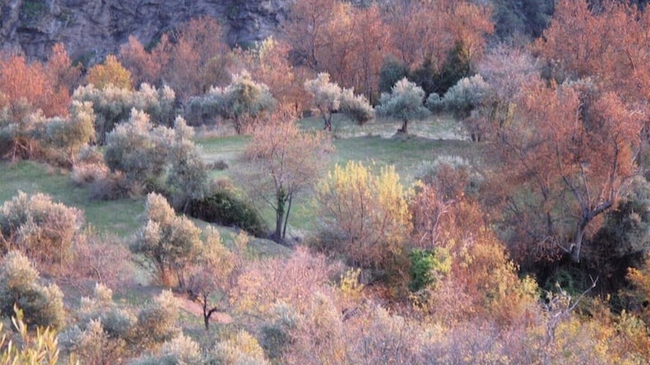 Photo of Others in La Taha