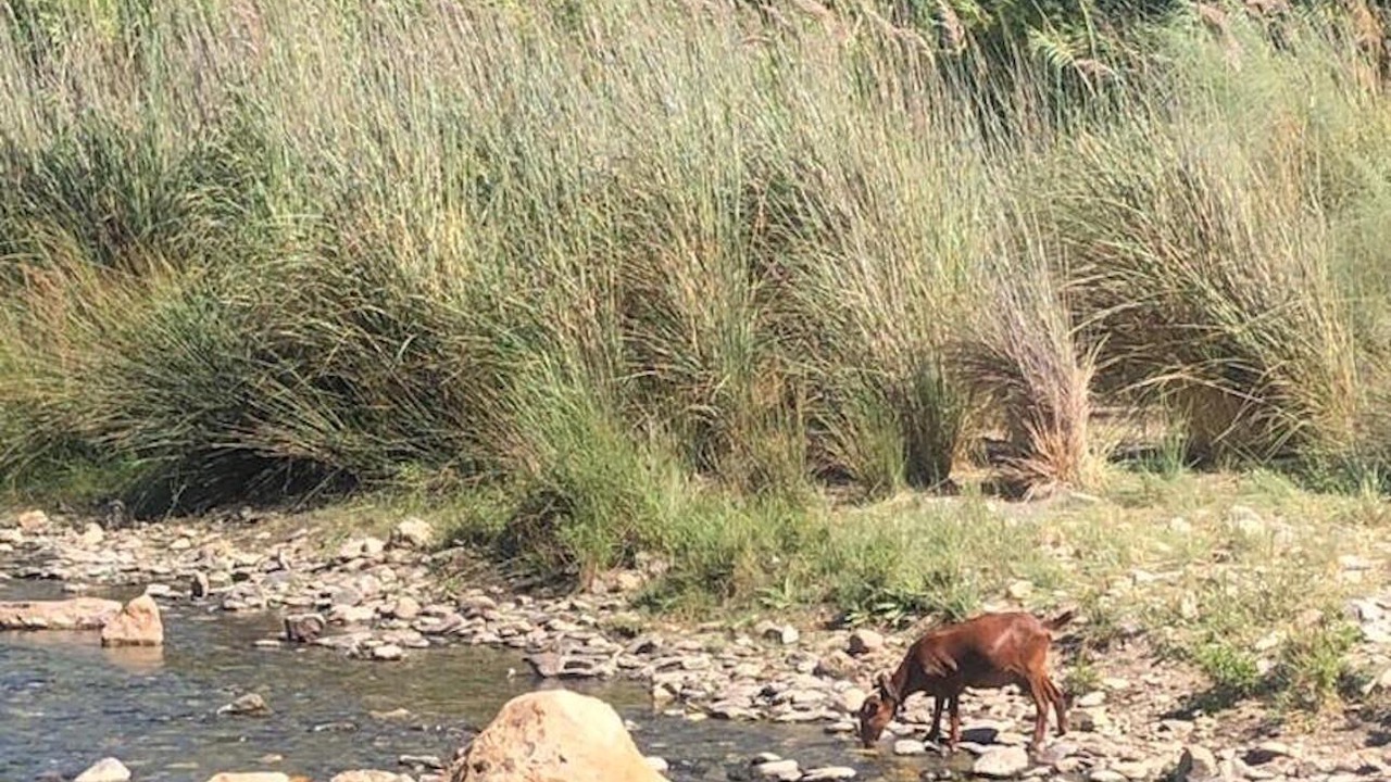 Photo of Others in Orgiva