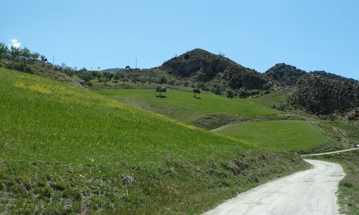 Photo of Outdoor in Barrio de la Vega