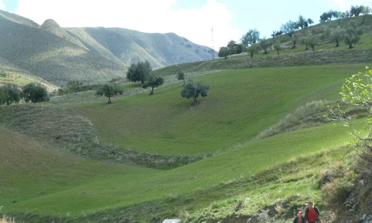 Photo of Outdoor in Barrio de la Vega