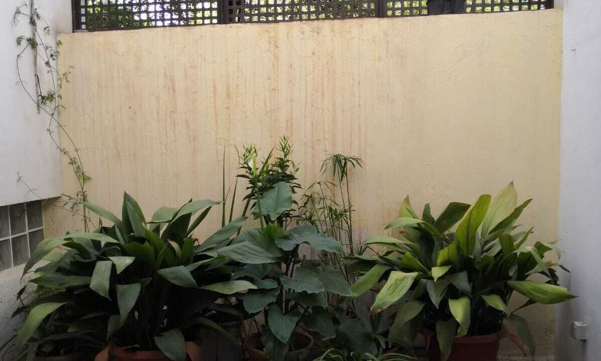 Photo of Outdoor in Barrio de la Vega