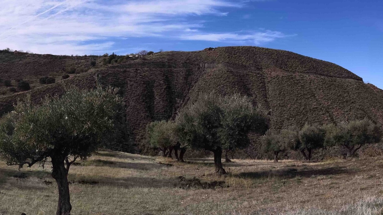 Photo of Outdoor in Barrio de la Vega
