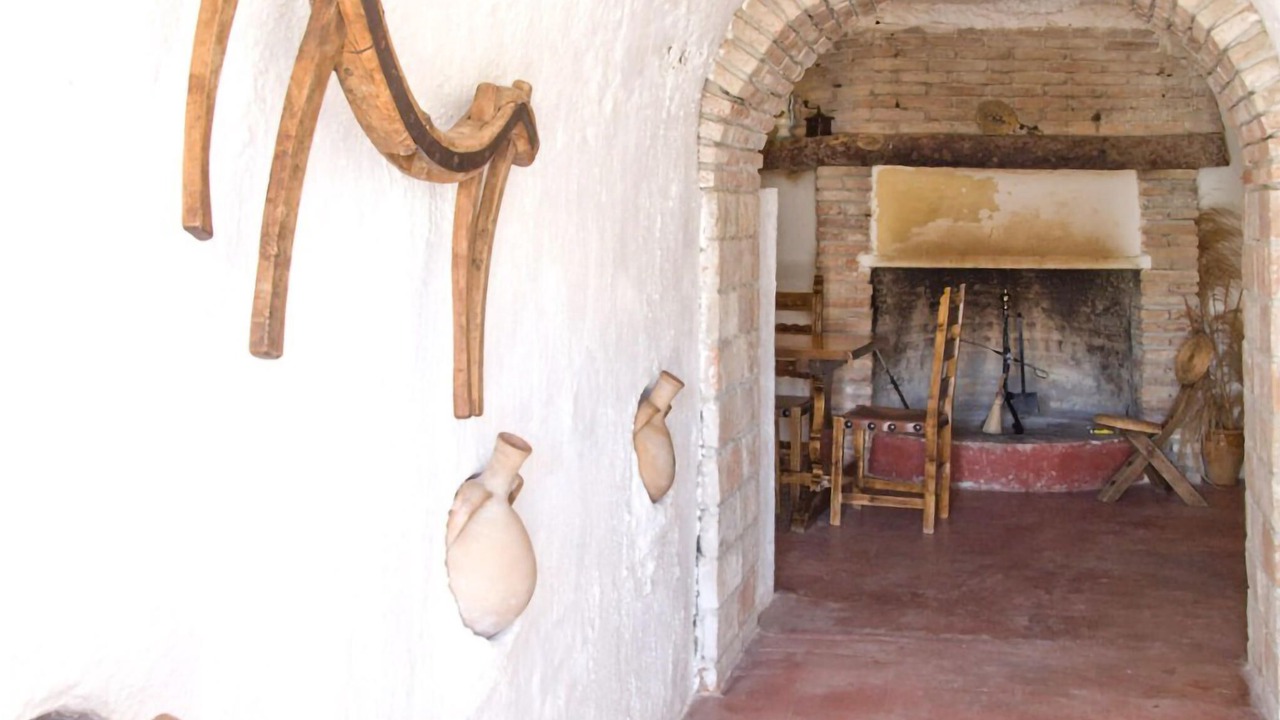 Photo of Others in Baza