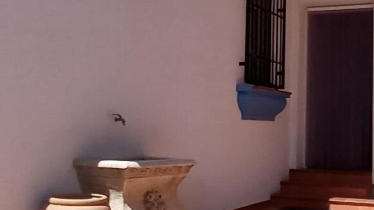 Photo of Outdoor in Alomartes