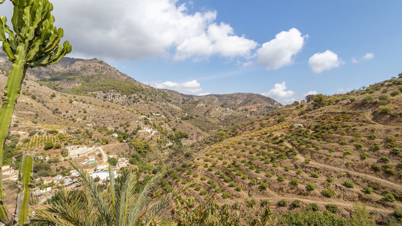 Photo of Others in Almunecar