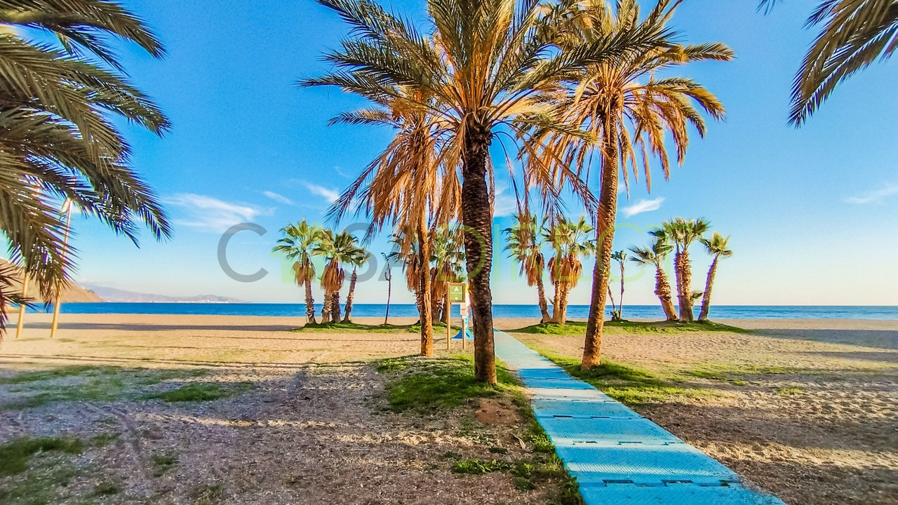 Photo of Others in Velilla-Taramay