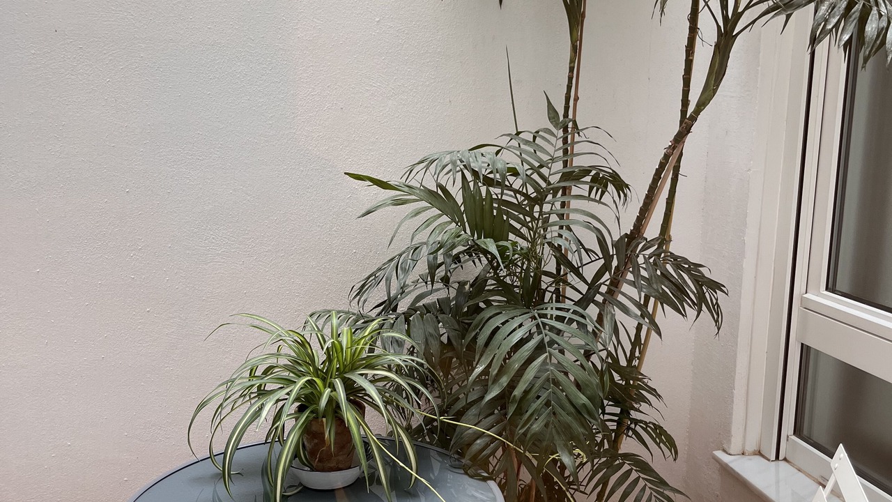Photo of Patio Balcony in Centro - Sagrario