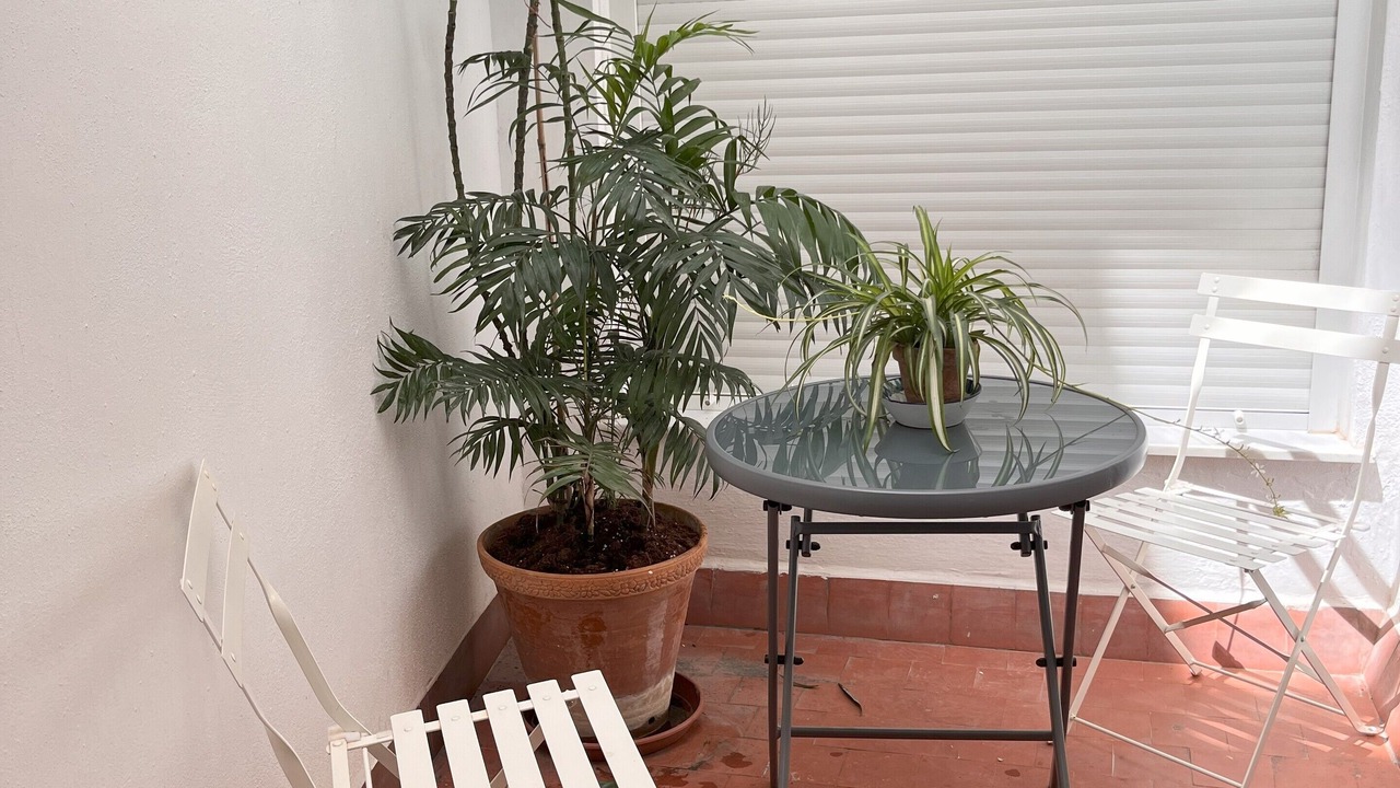 Photo of Patio Balcony in Centro - Sagrario