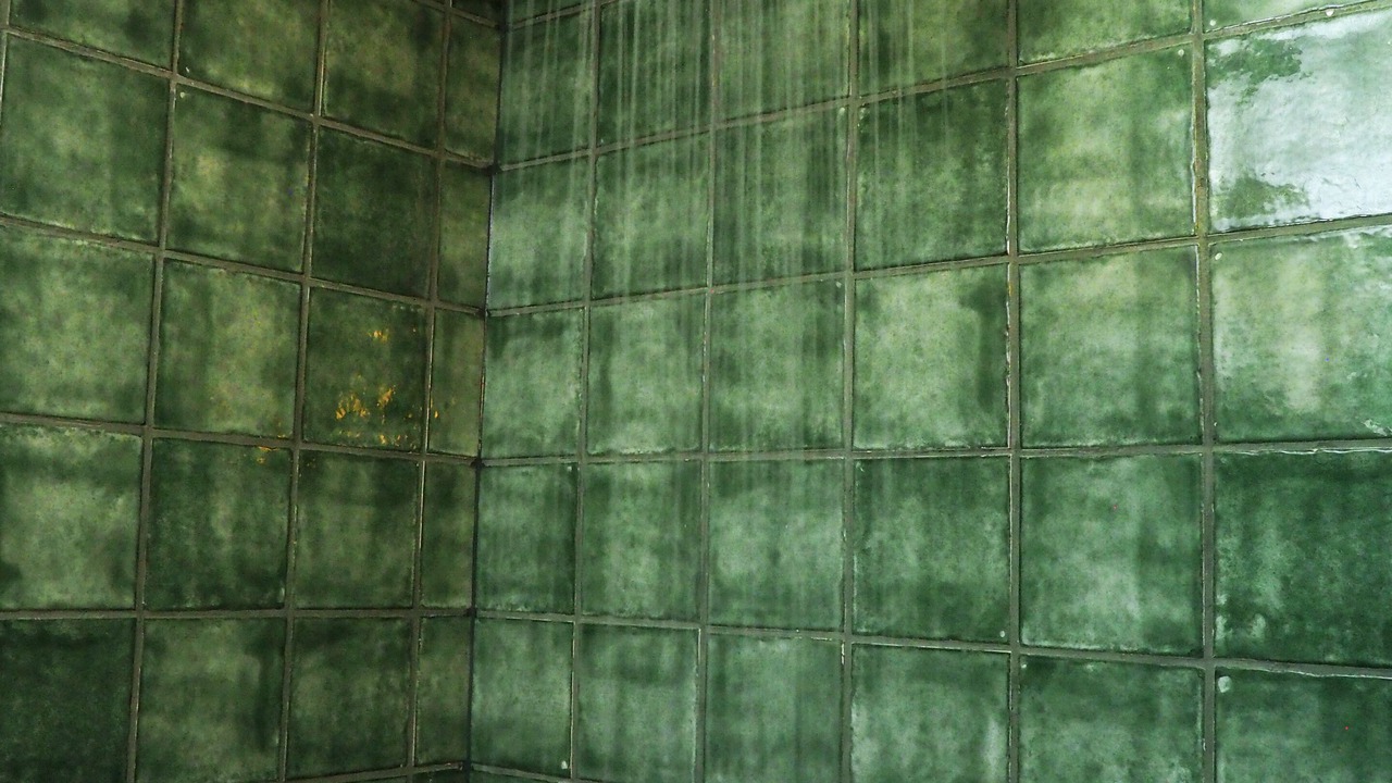 Photo of Bathroom in Salar