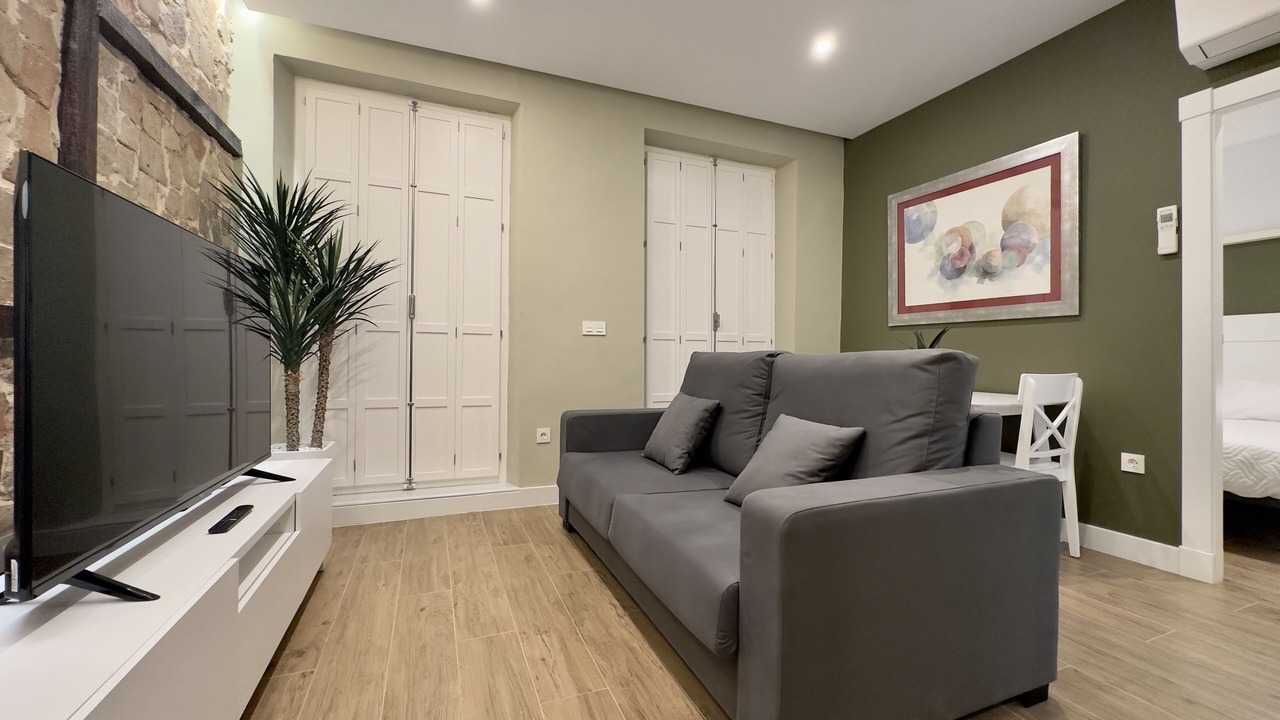 Photo of Livingroom in Granada City Center