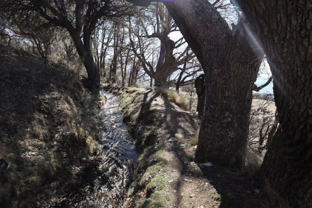Photo of Outdoor in Canar
