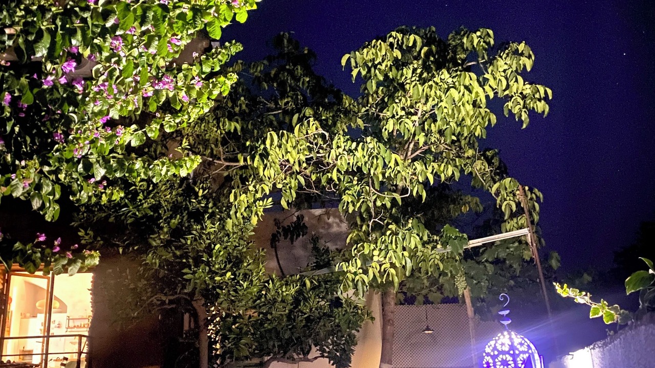 Photo of Outdoor in Murchas