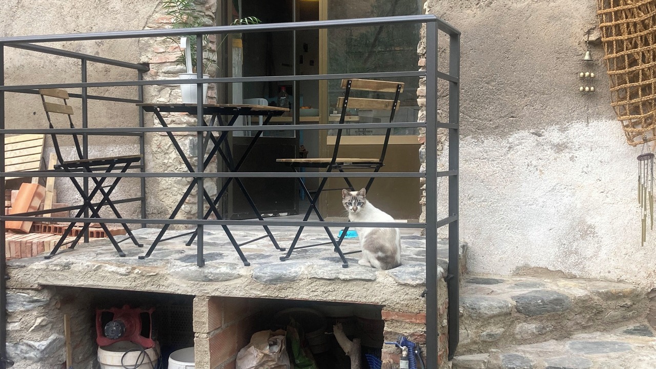 Photo of Outdoor in Murchas