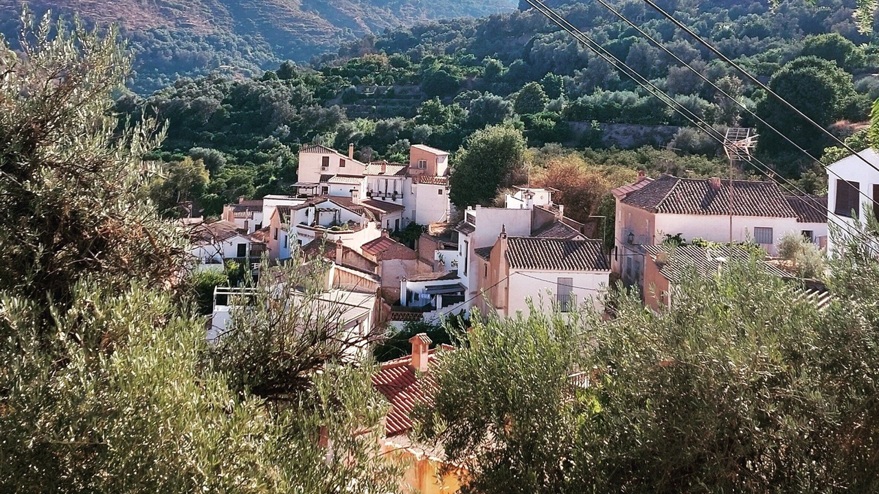 Photo of Outdoor in El Valle